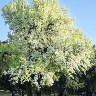 ����N�����溣����Ұ�������ɢ�b�^��������ľ���＾��ľ�N��