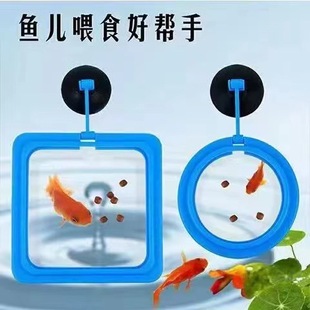 Fish tank feeding ring small fish feeding device aquarium feeding ring anti-diffusion feeding feed ring plastic feeding ring
