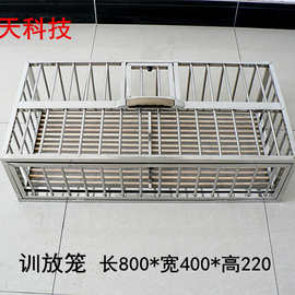 鸽具不锈钢鸽笼信鸽训放笼放飞笼鸽笼训放笼包邮