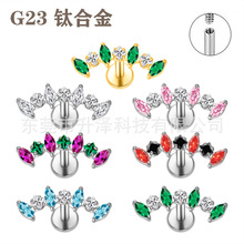 G23⁺Ͻ¿ᔎR䆴ᔃСtͬl