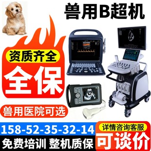 �����I��������B���O�� �iţ���R�F��B���C �Bֳ��B���C�r��
