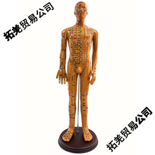 ���Ѩλ����ģ��ȫ��������ҽʮ������ͼСƤ�˹轺������ϰͭ��