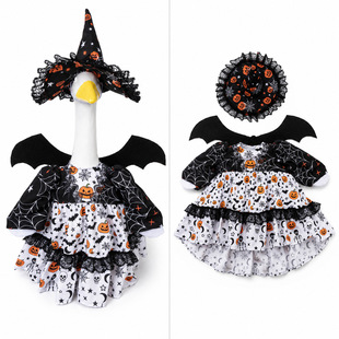 �羳���R�d�T���Z��� �}�Q�f�}�����b��ͥԺ����porch goose�b�