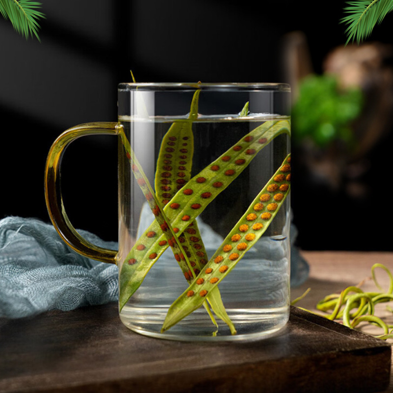新商品の化石茶の化学石草は水を浸して漢方薬の材料の猫のひげの草のお茶の大きい商品を飲んで石草のメーカーを卸売りして直接販売します。|undefined