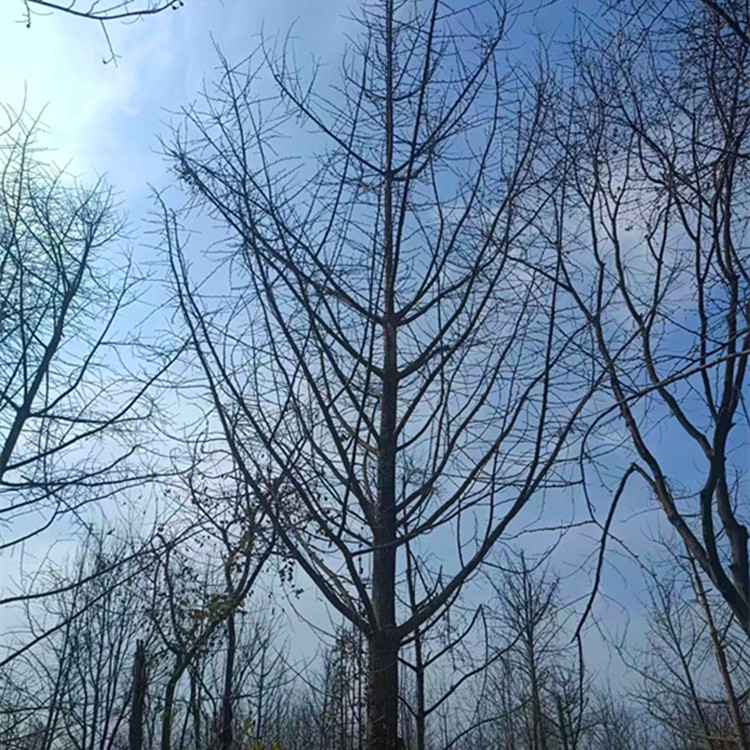 ΢��ͼƬ_20230406113013