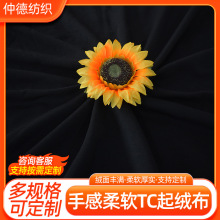 ��ɫ��q�� �q�����b�ڴ���߅�q���S�ҬF؛���l 260g��ë��Ȧ�q��