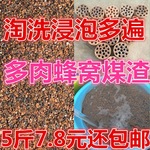 蜂窝煤渣去硫多肉兰花营养土煤炭渣防板结透气淘洗浸泡干净