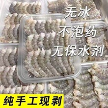 �o���r�ʟo�}�o���²���ș���r���ք��׌��r��ȥ�r����ˮ�r��