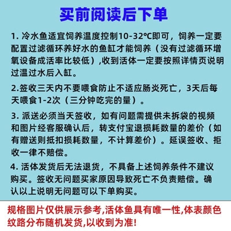 f24fdd53-b4c9-44ad-95bc-0fc5ed87b192.jpe