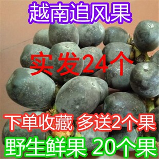 Խ���������r׷�L���̻��r��24�����ݾ���������ș�İ��]