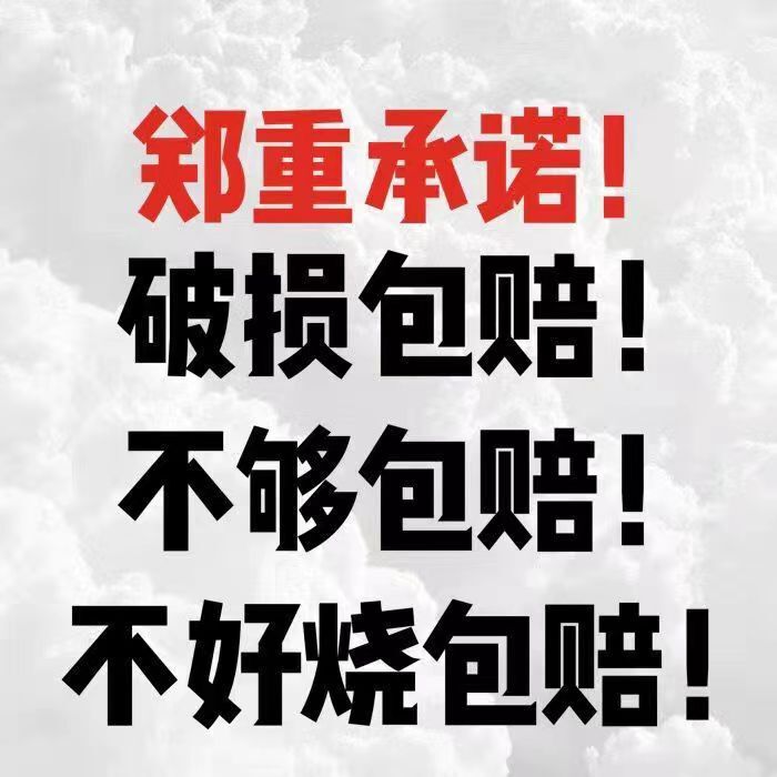 酒精块固体家用耐烧点碳引火100个固体酒精燃料引燃块酒精固体块|undefined