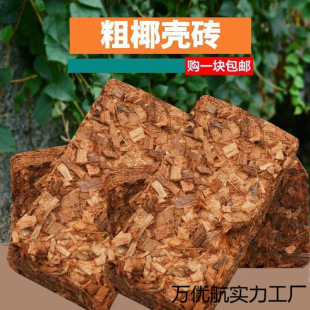 2025��Ҭ���uҬ��Ҭ�u�I�B����Ҭ������N���N��Ҭ���uҬ�Ӛ�����