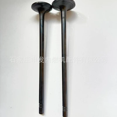 Valves and components (SDEC) 12E intake valve
