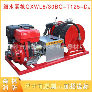 QXWL8/30BQ-T125-DJ�Ƅ�ʽ��ˮ�F��ɭ������ˮ����������b��