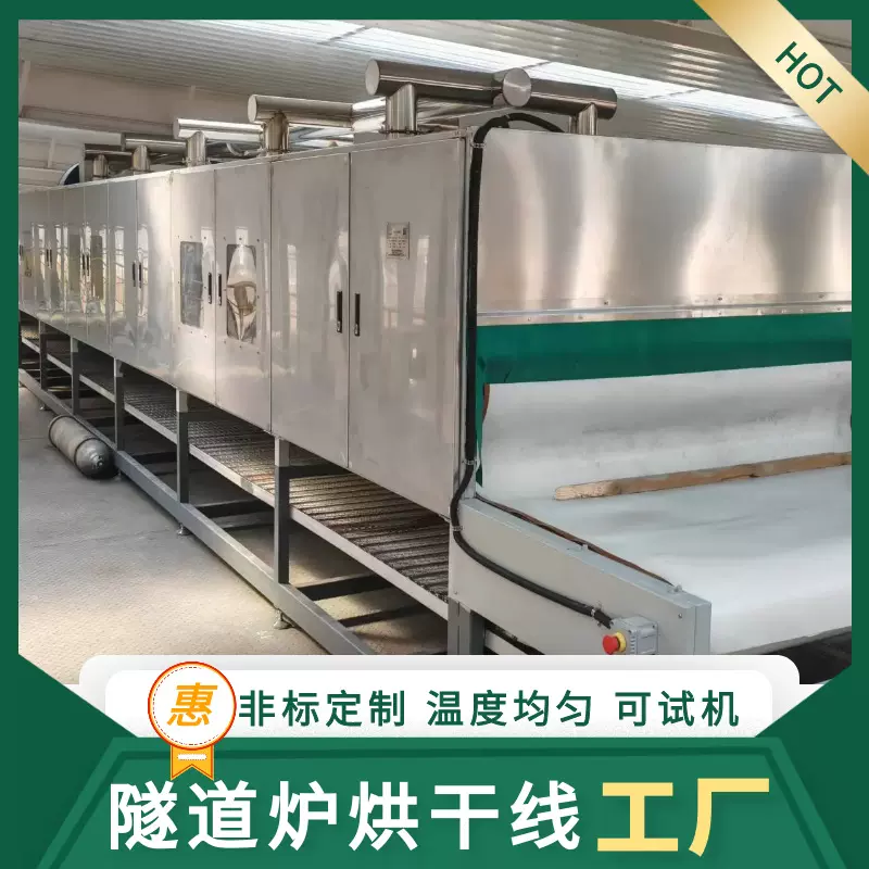 排气+紫外线隧道炉 紫外线隧道固化炉 隧道式烘干炉