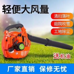 Two-Stroke Powerful Gasoline Blower Snow Blower Xinghu Factory Direct Portable Leaf Blower Wind Blocker