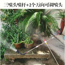 ��s�p�����^���׌��Ç��^��ͨ���^늄Ӈ��F������r�Ç��^����