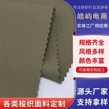 新型全涤酷丝棉吸湿排汗休闲服家具装饰布面料 全工艺生产厂家