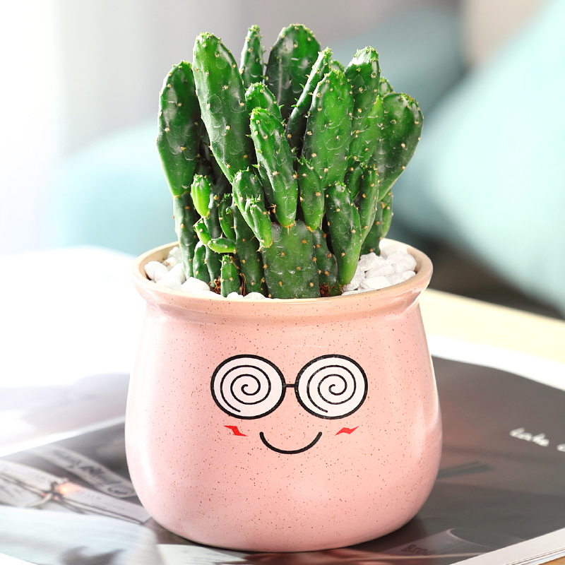 럭키핸드(현기증 핑크 마카 세라믹 세면대)