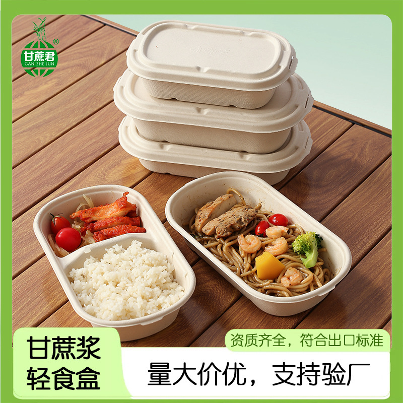 Disposable Biodegradable Sugarcane Pulp Light Fruit Salad Takeaway Double Compartment Bento Picnic Lunch Box