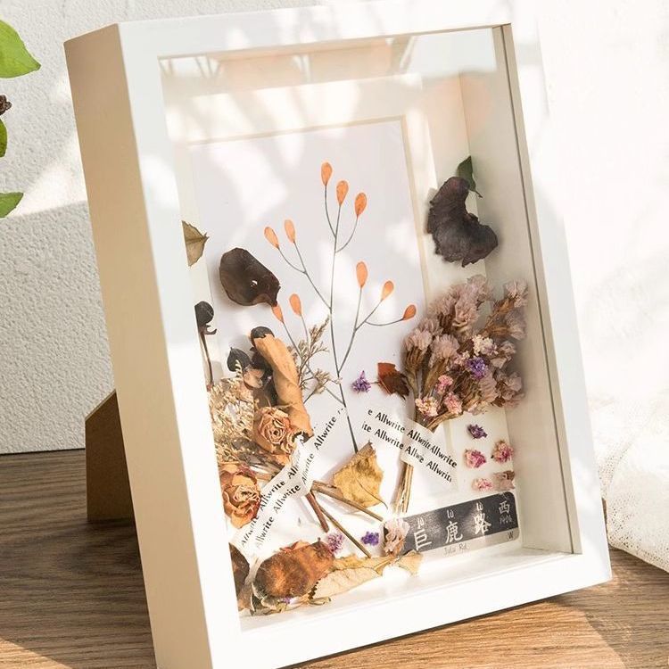 Three-Dimensional Hollow Photo Frame for Plant Specimens, Display Stand, Gift, Rose Flower Picture Frame