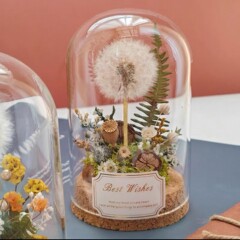 ガラスカバーマイクロ風景本物のタンポポドライフラワー永遠の母 diy 森デスクトップ装飾装飾品ギフトギフトボックス