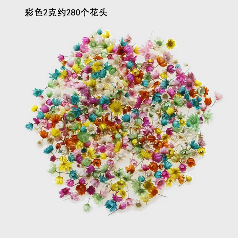 小さな星の花の頭diyのドリップの水晶のボールは装飾のアクセサリのネイルの材料のカラーの手作りの本当の花のドライフラワーを埋めます。|undefined