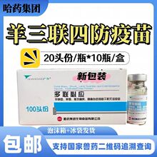 ��ș ���ؑ� �����ķ�������șɽ��d�����Fș������