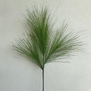 �Rβ�ɷ���Gֲɭϵ��c��Y�������b����҃ȼҾә����[�O�ٻ�