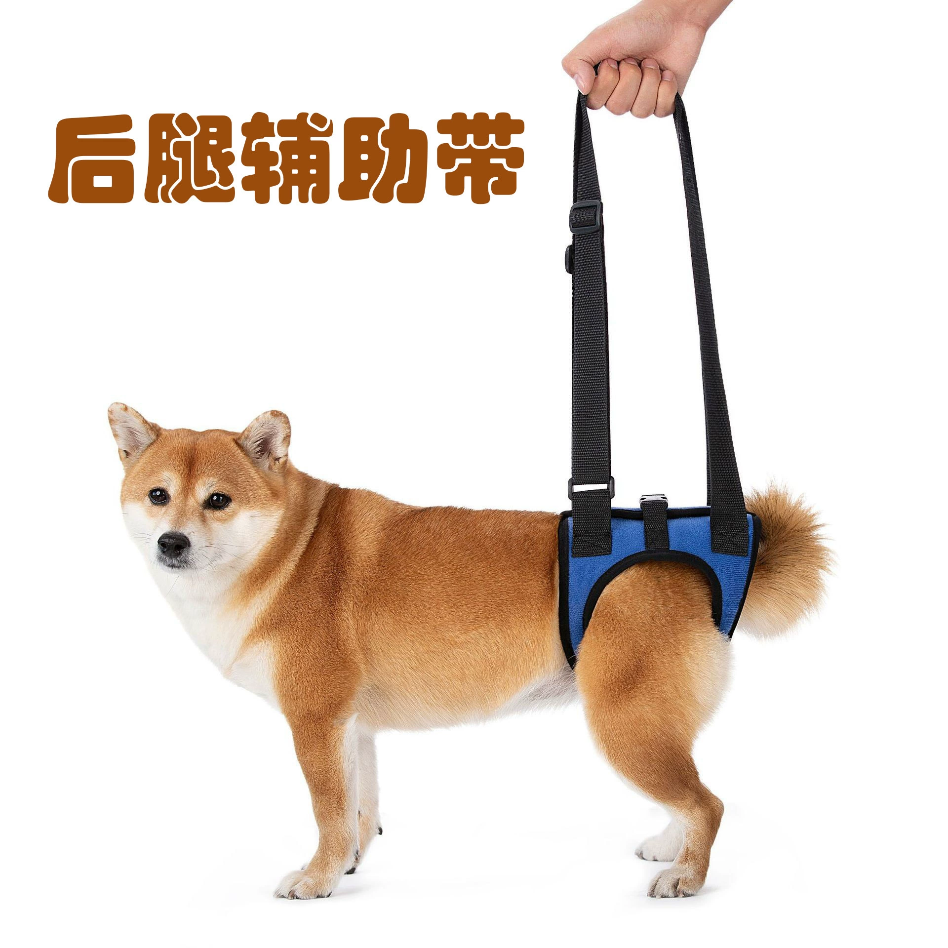 Новый пояс для поддержки задних лап собак, средства для ухода за пожилыми собаками, пояс для помощи при ходьбе для собак с ограниченными возможностями, легкая опора для ходьбы
