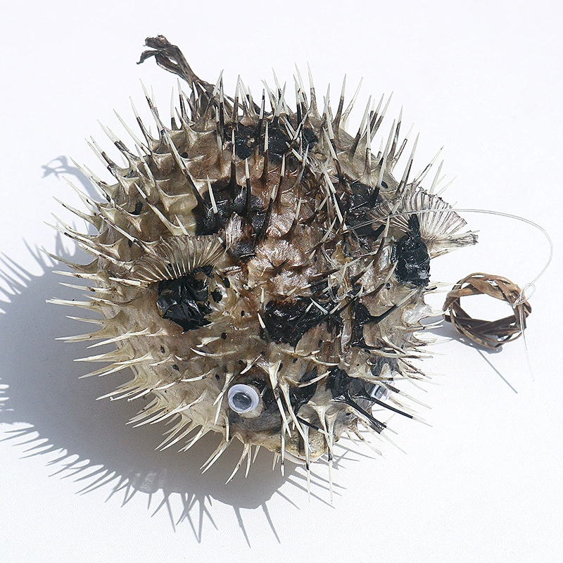 Sample, marine creative pendant, creative gift