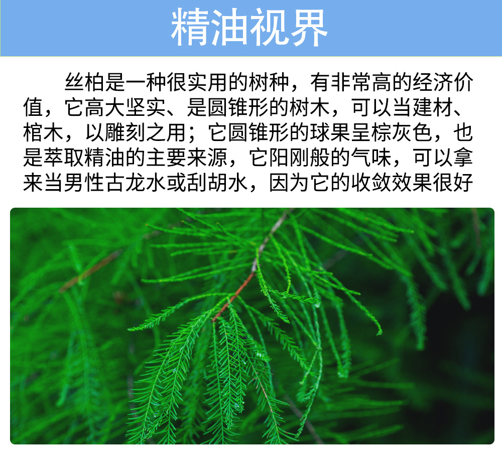 单方丝柏精油中国柏木油 柏树枝叶日化木香原料 熏香扩香护肤按摩-阿里巴巴