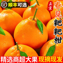 �Ĵ���Ҋ�ҰҸ��������rˮ�����������ΰ˹ֽ۲�����֪��������]