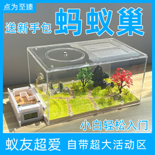 Λρ��������Λρ�Ǳ� Λρ�� Λρ�Cƽ��ρ����Ӆ^�̌W