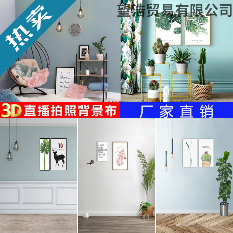 Online Live Streaming Background, Influencer Photo Backdrop, Minimalist Style Live Broadcast Room Photography Shooting Background, Yi Heng