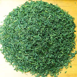 2025年贵州毛峰茶叶绿茶春茶凤冈岗锌硒茶炒青批发