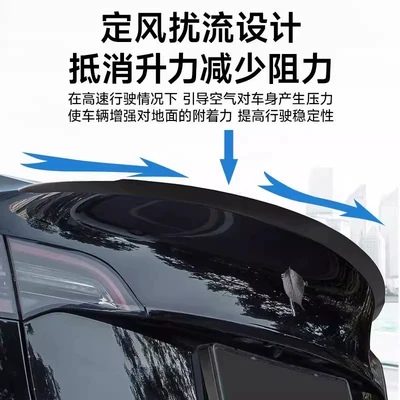 Fixed wind wing: Rear Wing Dry Carbon