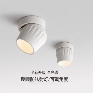 Rotatable Led Surface-Mounted Spotlight for Home Living Room Ceiling Light Aisle Adjustable Angle Without Main Light Cob Anti-Glare