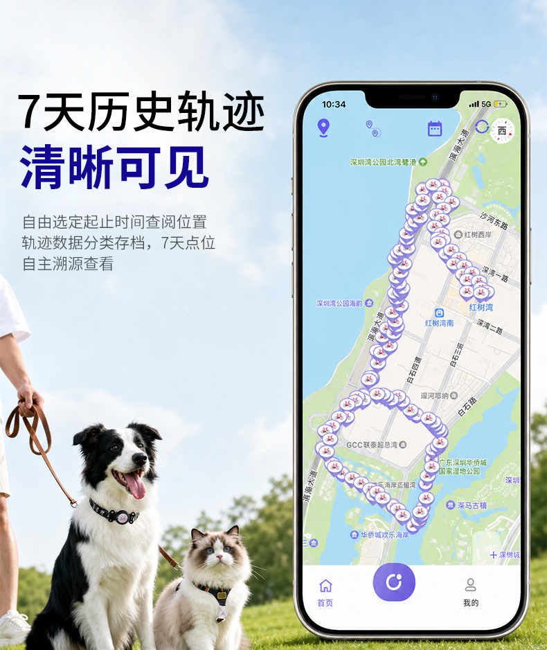 详情图