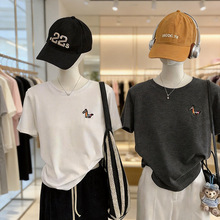 ������ С�R�̽��A�I����T��Ů2026�����¿�ٴ��nϵ���e����6679