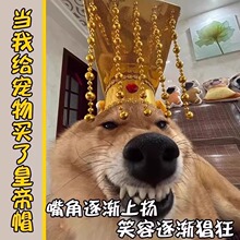 �ʵ�ñ�ӄ�����b���D�ʵ�ñ�Ĕz���߃�ͯ���������նY���^��