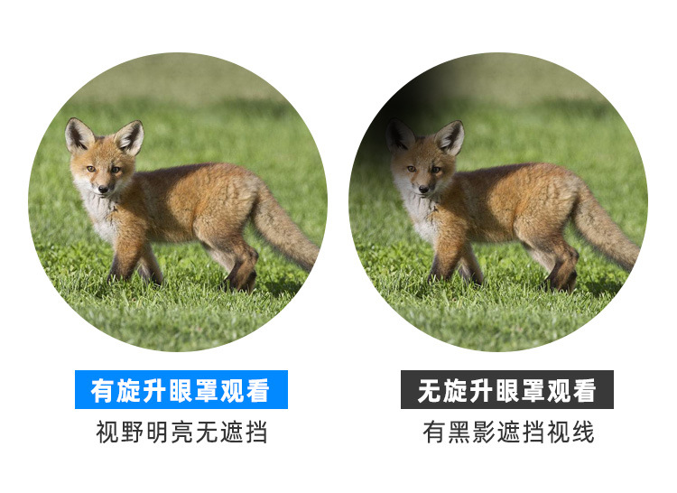 12X50单筒望远镜_15