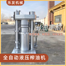 乐发 商用芝麻榨油设备 新型液压榨油机 精炼设备 46斤型香油机