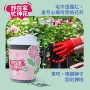 有机种植植物桌面杯