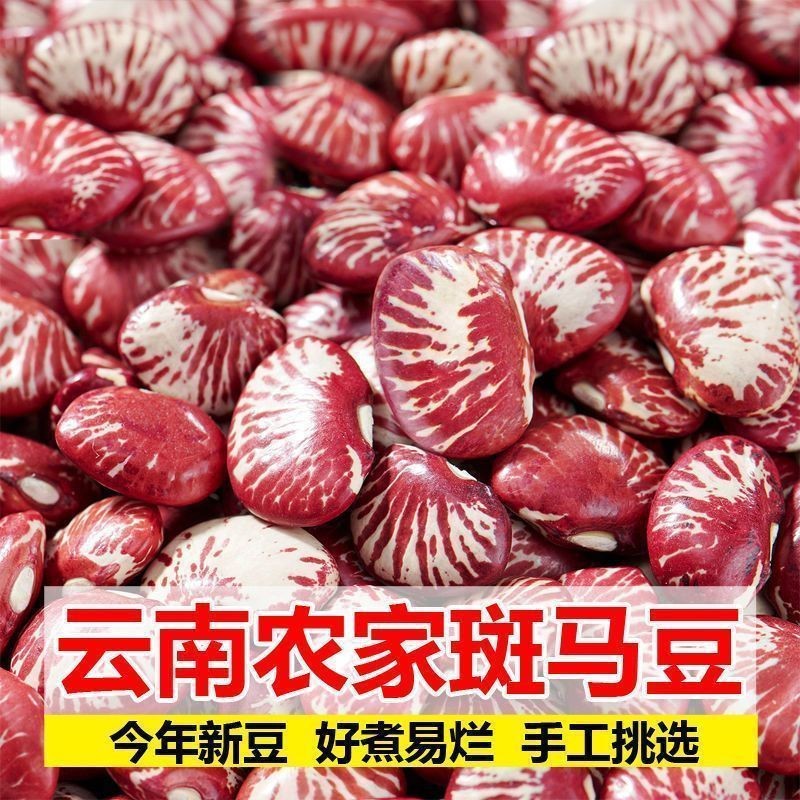 斑马豆250克 肾豆 花豆 神豆农家荷包豆花菜豆大红豆红芸豆花芸豆