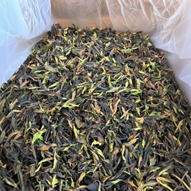 普洱茶;红茶;白茶