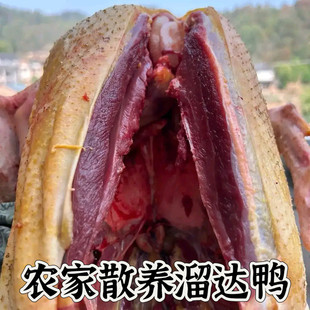 ���F���ٰl���r��ɢ�B�������������������_�����^צ��ȫ��