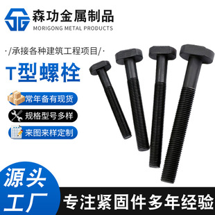 �S�ҹ���T����˨ �����ݽzt���ݽz�l�ڹ��Ҳ��ݽz ���^T����˨