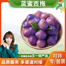 【严选】陕西蓝蜜西梅 一件代发当季新鲜水果1斤3斤5斤黄肉李子