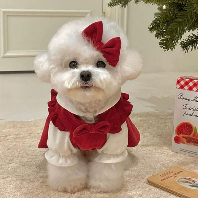 (2개) 개 옷 가을과 겨울 원피스 테디 비터 곰 포메 작은 개 애완 동물 고양이 VIP 봄과 가을 스커트